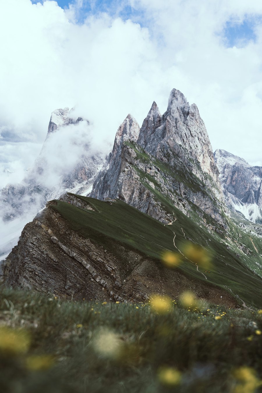 Il Seceda tra le nuvole, con un prato fiorito in primo piano